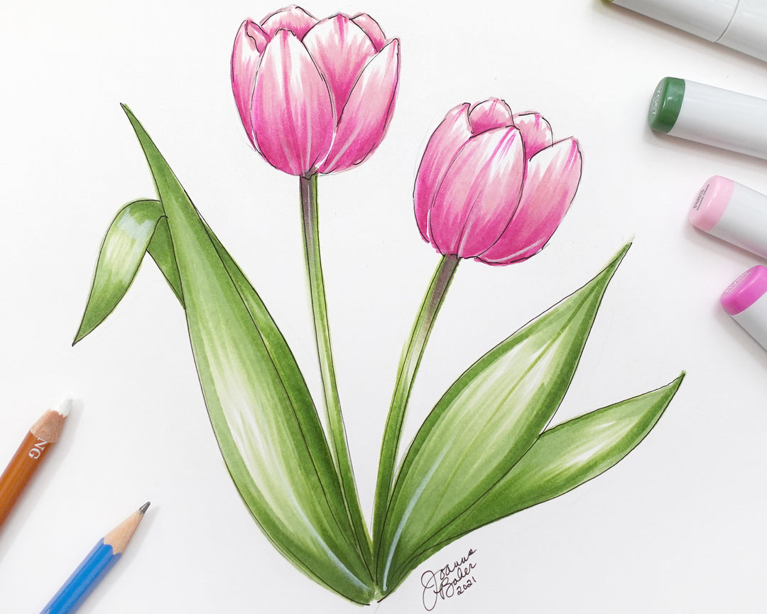 Pink Tulips - Original Marker & Ink Illustration