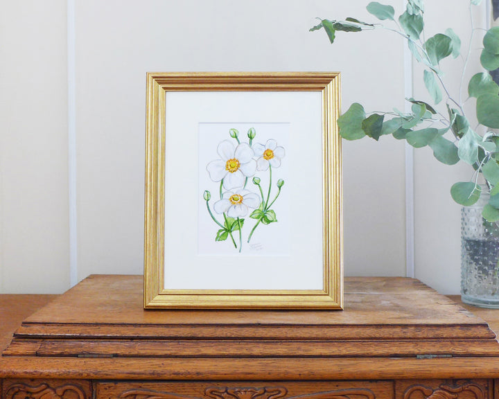 "Dainty Anemone" an Original Watercolor Painting