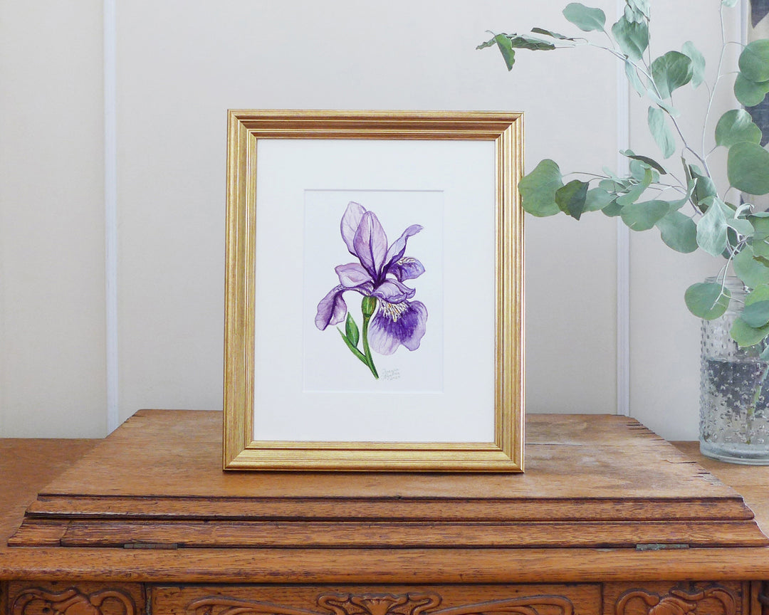 "Majestic Iris" an Original Watercolor Painting