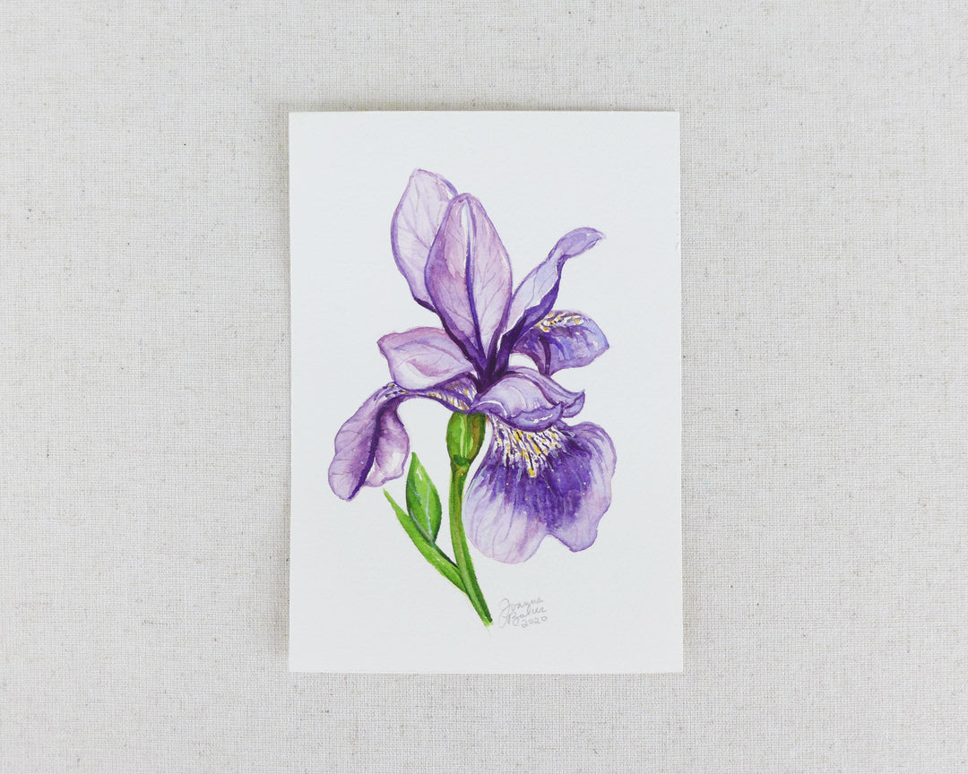 "Majestic Iris" an Original Watercolor Painting