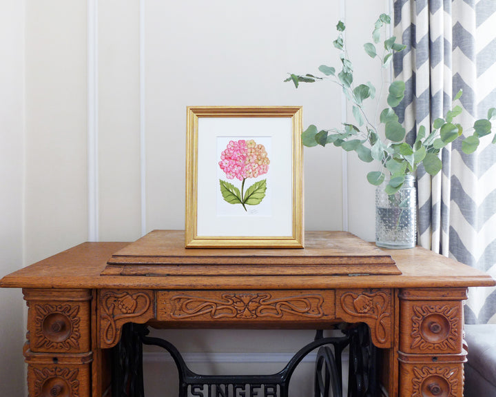 "Champagne Pink Hydrangea" an Original Watercolor Painting